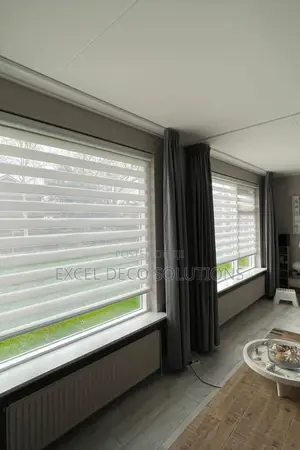 Sleek and Modern Window Covering-Zebra Roller Blind