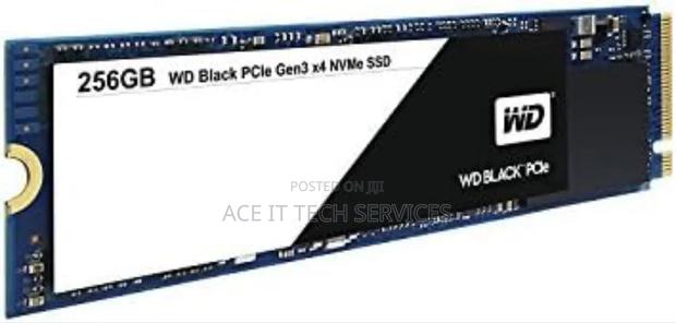 Western Digital 256gb SSD Nvme Hard Disk - main view