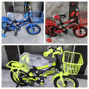 Bike Size 12