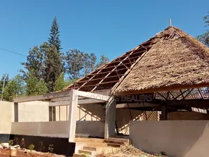 Professional Makuti Thatchers