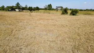 Prime 10 Acres Dreamland Per Acre