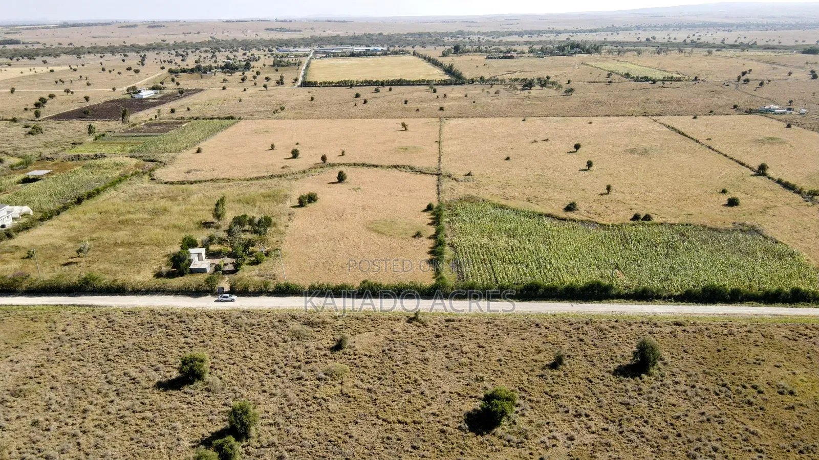 Prime 10 Acres Dreamland Per Acre