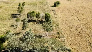 Prime 10 Acres Dreamland Per Acre
