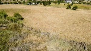 Prime 10 Acres Dreamland Per Acre