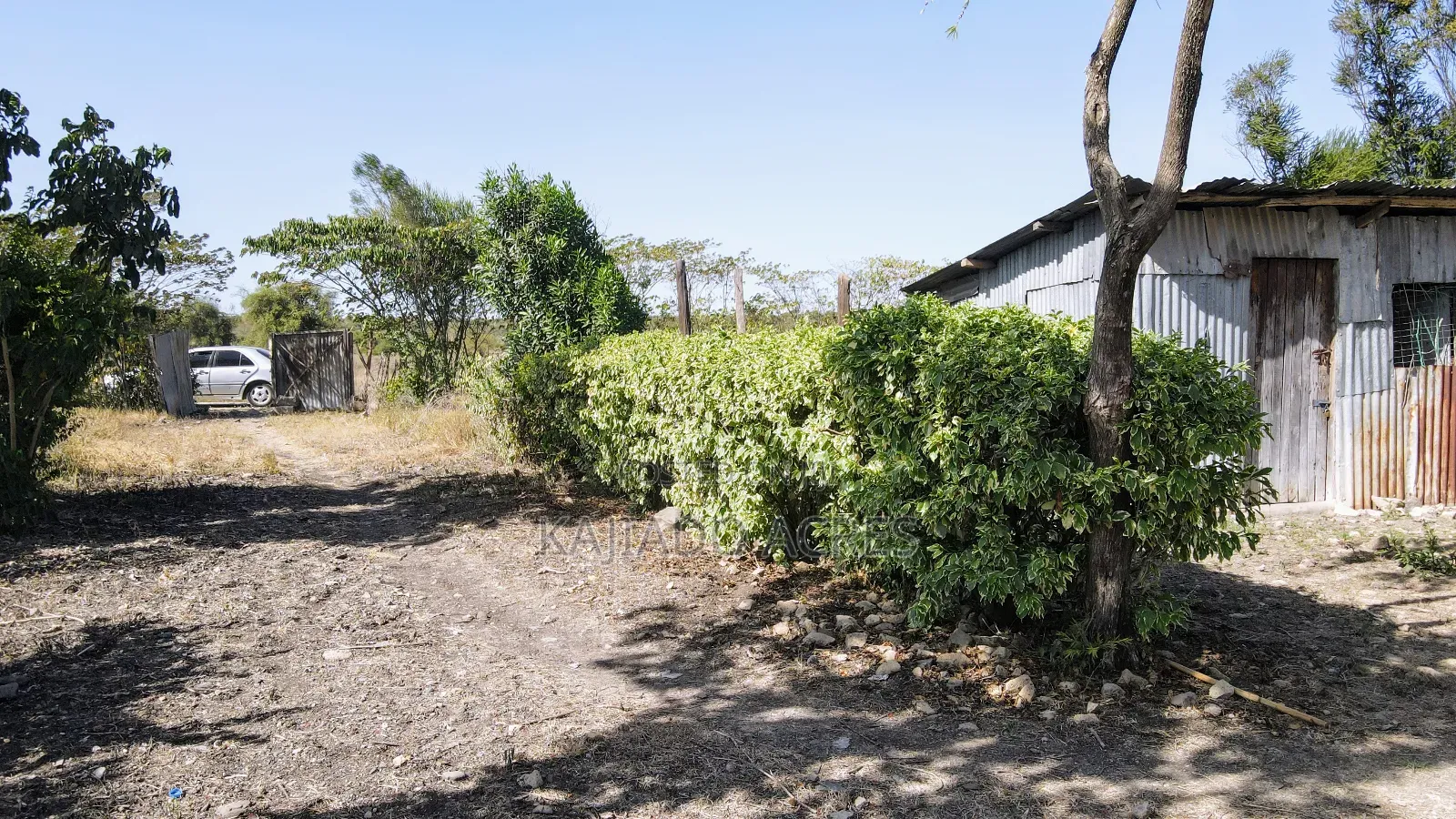 Prime 10 Acres Dreamland Per Acre