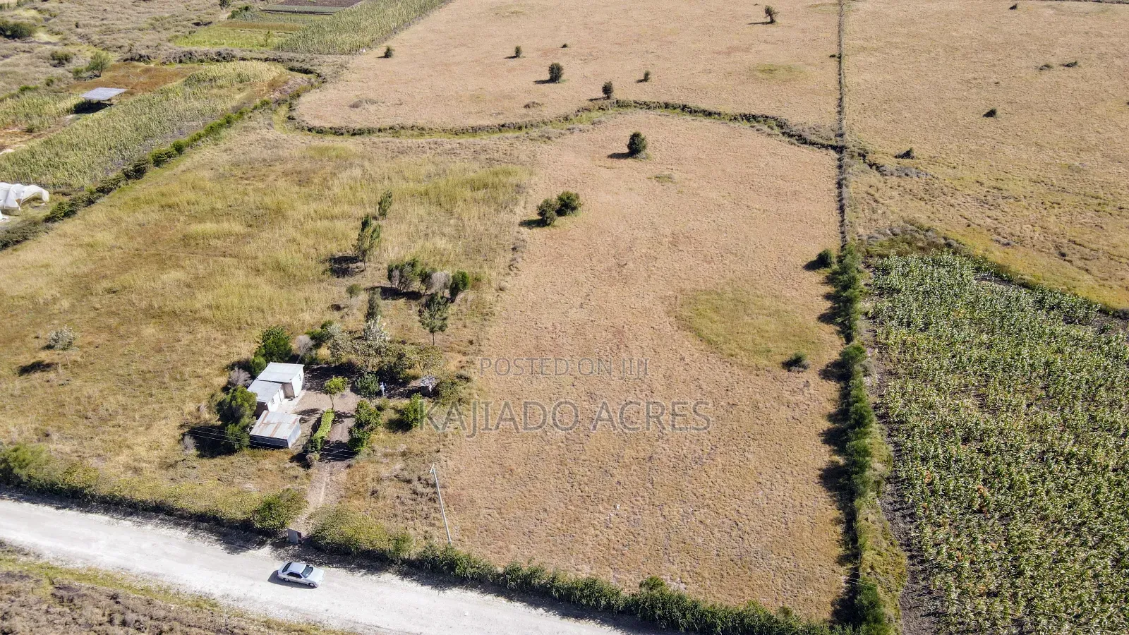Prime 10 Acres Dreamland Per Acre