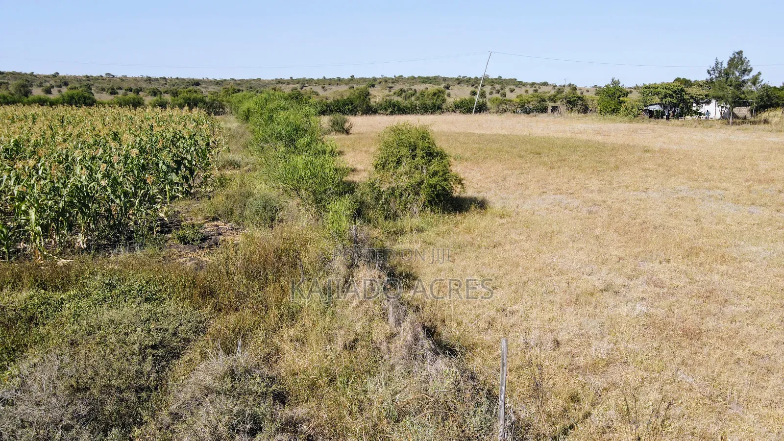 Prime 10 Acres Dreamland Per Acre