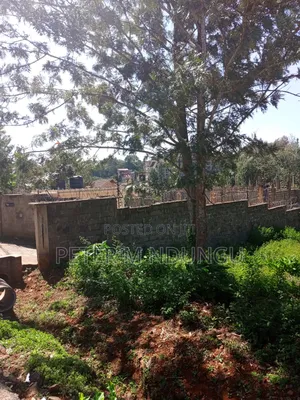 Mushrooms Garden, Kiambu Road,1/2 Acre