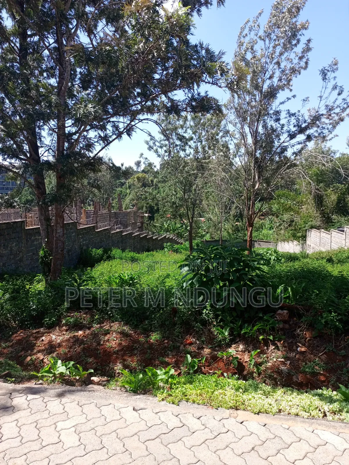 Mushrooms Garden, Kiambu Road,1/2 Acre