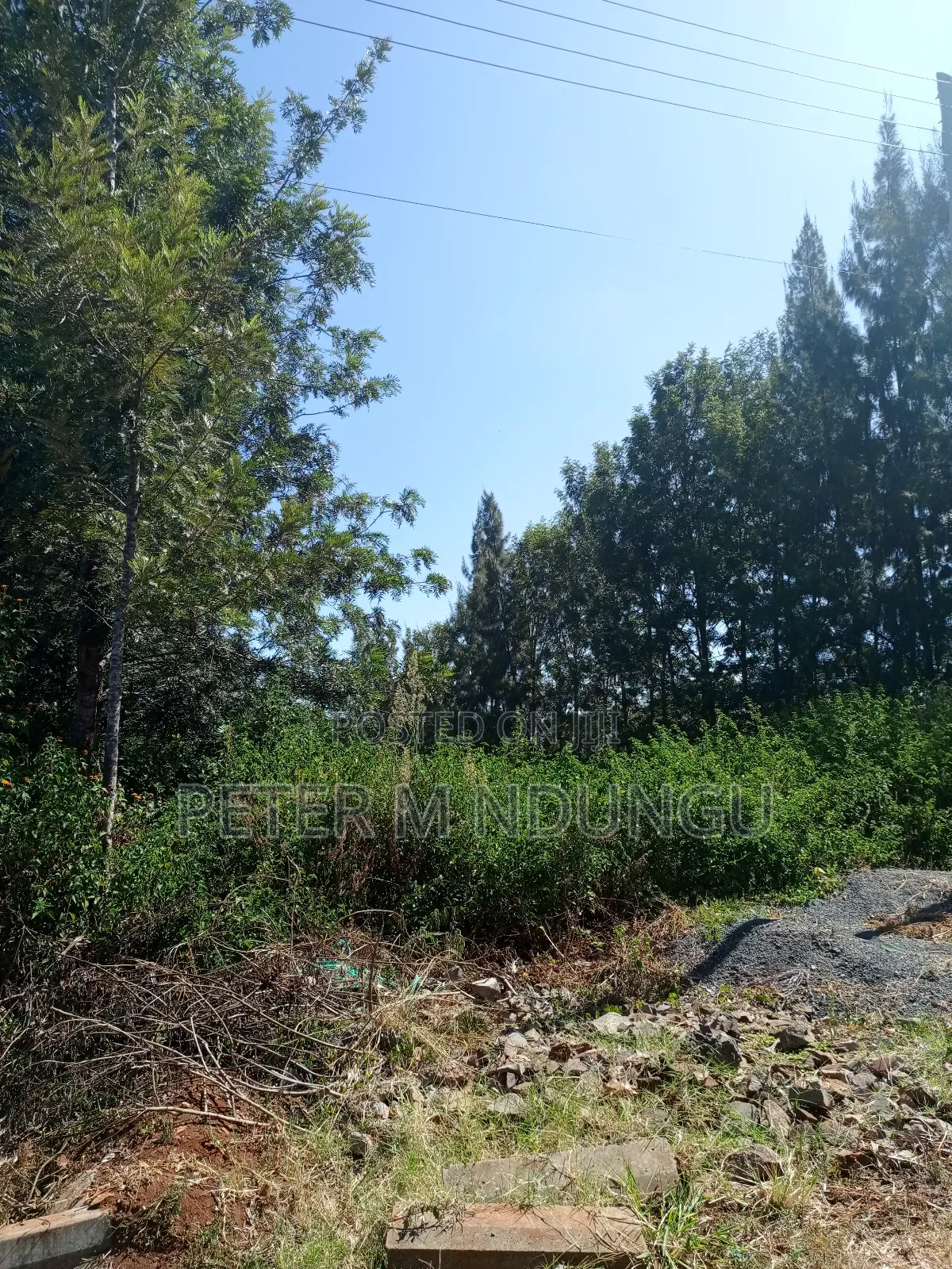 Mushrooms Garden, Kiambu Road,1/2 Acre