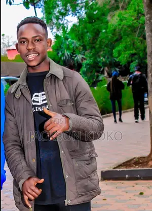 Sales and Marketing Agent