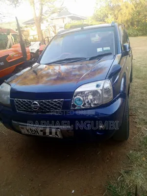 Nissan X-Trail 2004 Blue