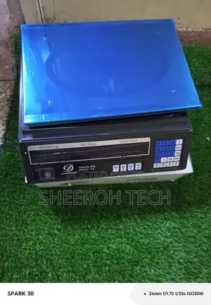 Digital Weighing Scale 30kg 