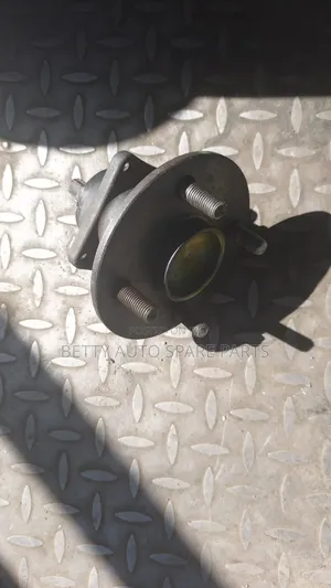 Toyota Filder Rear Hub