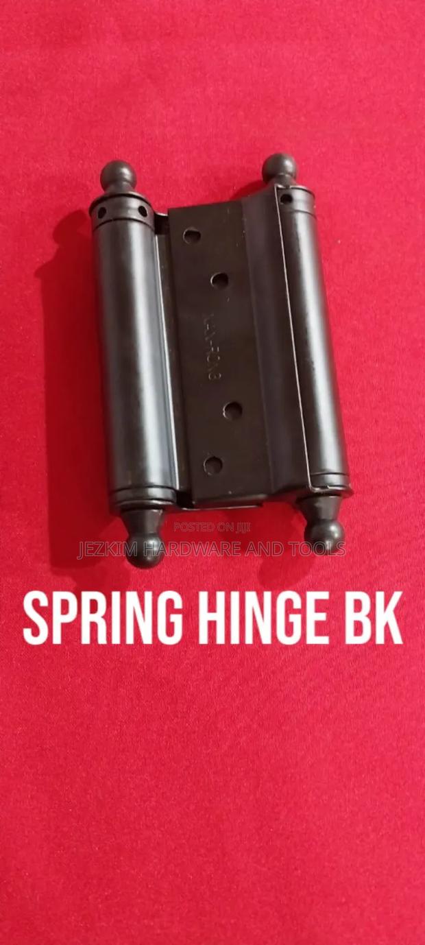 Spring Hinges Double Action Heavy Duty - main view