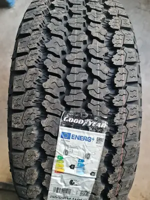 255/55 R19 Goodyear Tyres. (Germany)