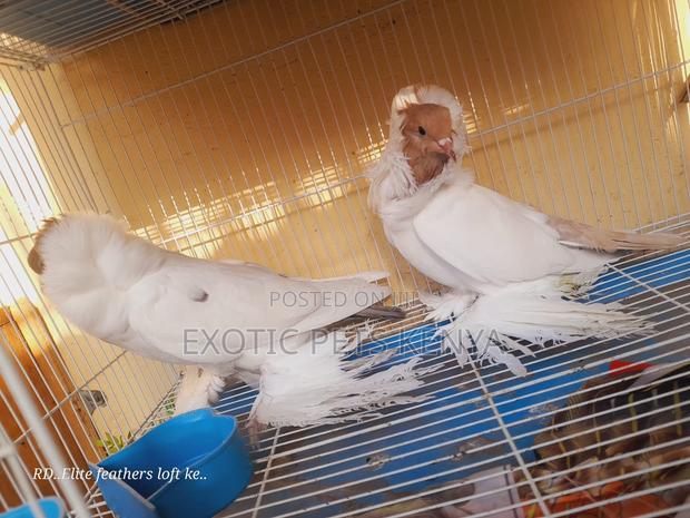 Mooreheads Upcoming - main view