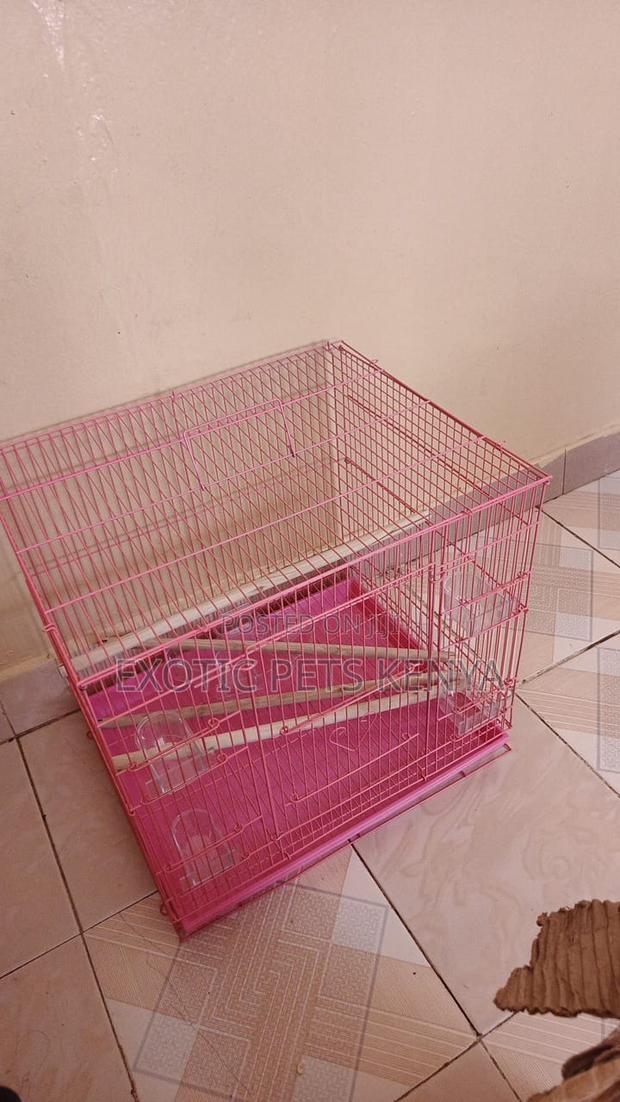 Spacious Bird Cages - thumbnail 3