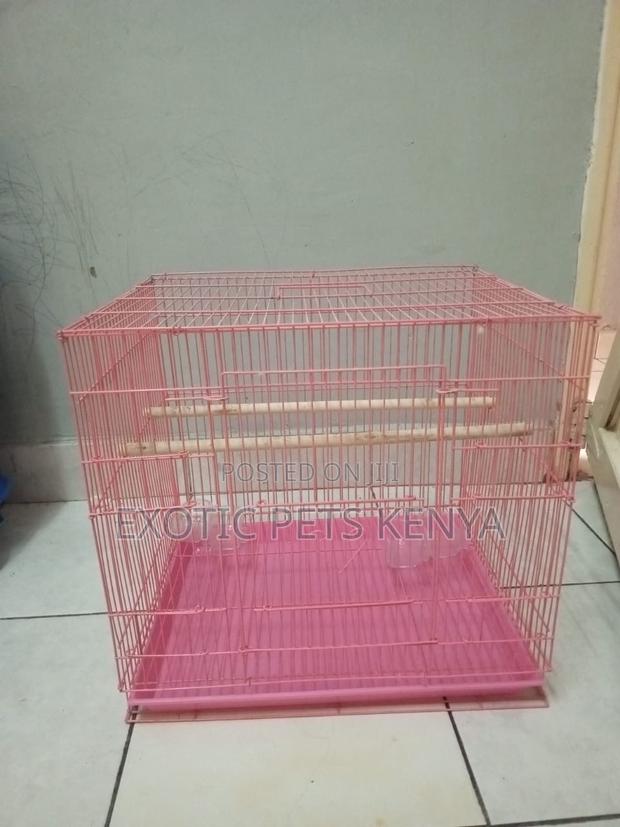 Spacious Bird Cages - thumbnail 4