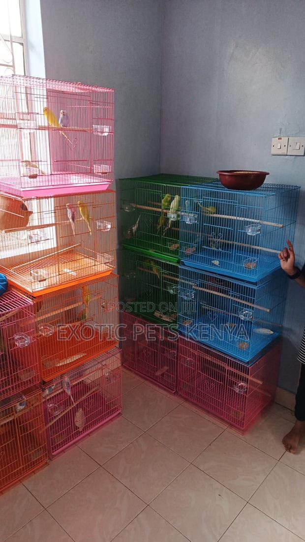 Spacious Bird Cages - main view