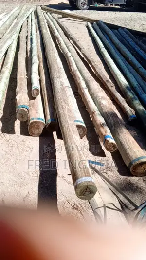 Internet Poles for Fibre Optic