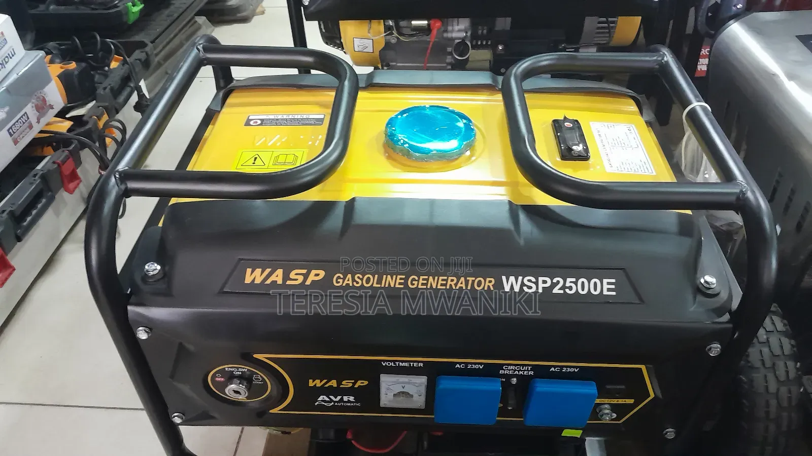Wasp Gasoline  Generator  Wsp2500e