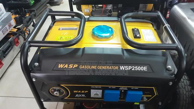 Wasp Gasoline  Generator  Wsp2500e
