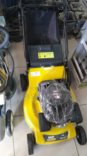 Wasp Wasp Lawnmower 6.0 Hp / Gasoline Lawnmower