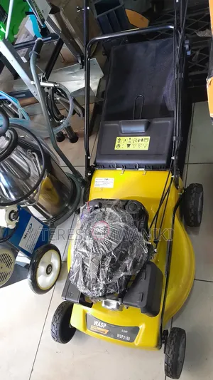 Wasp Wasp Lawnmower 6.0 Hp / Gasoline Lawnmower