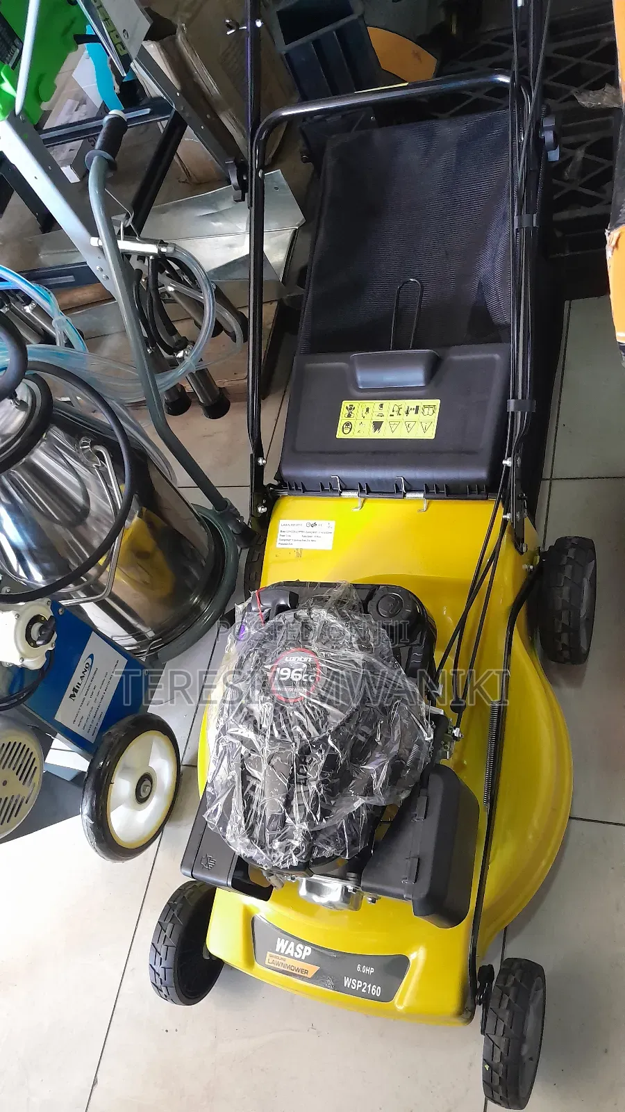 Wasp Wasp Lawnmower 6.0 Hp / Gasoline Lawnmower