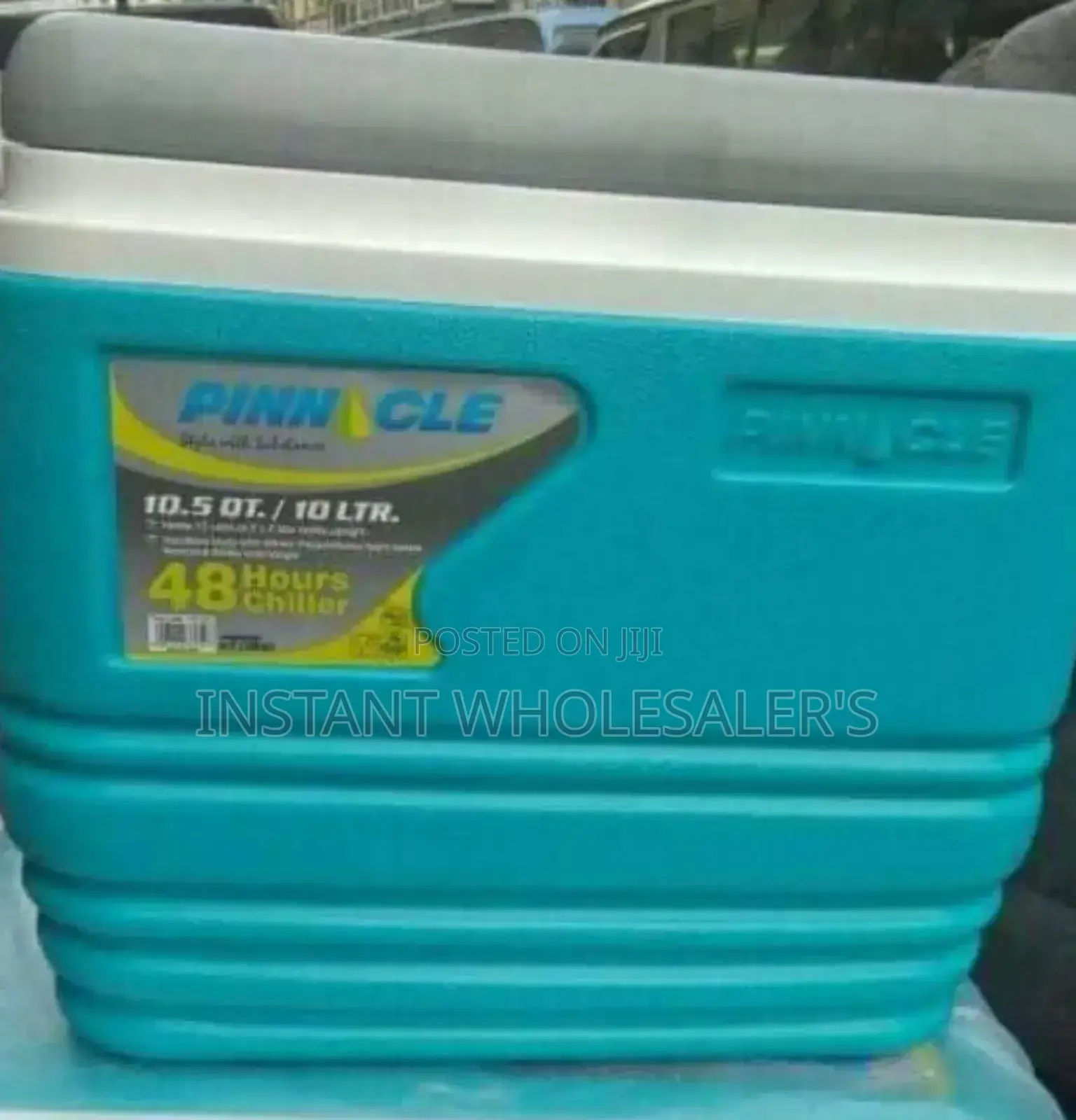 Pinnacle 10 Litres Cooler Boxes