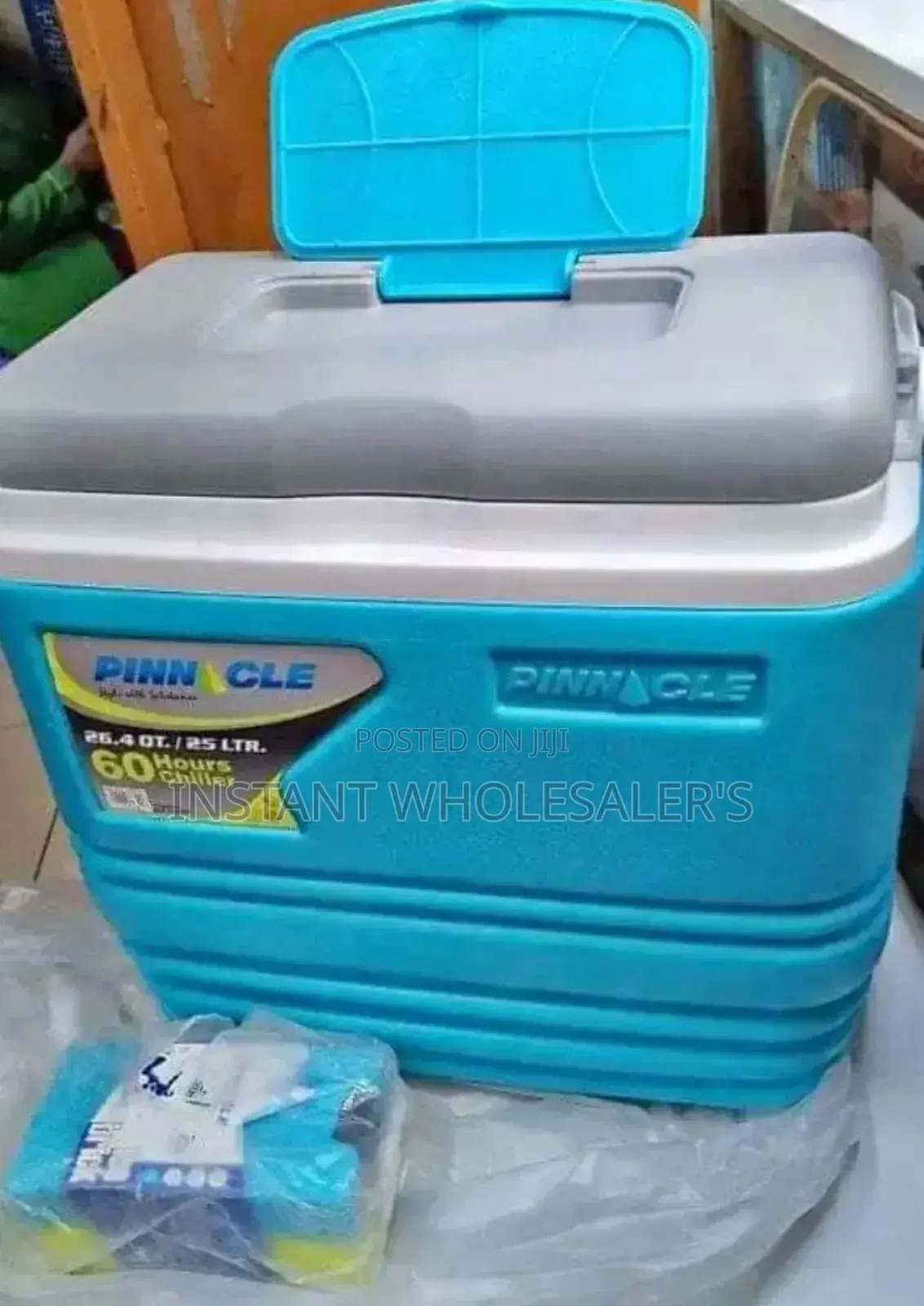 Pinnacle 25 Litres Cooler Boxes