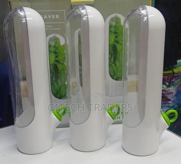 Fresh Herbs Fridge Storage Container