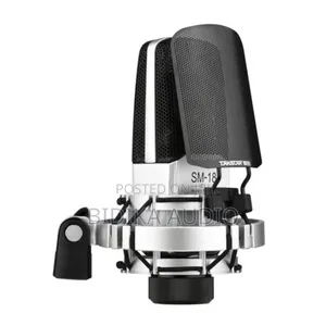 Takstar Sm-18 El Professional Recording Microphone Cardioid