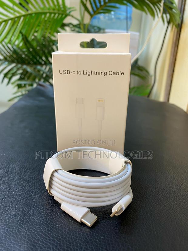 Type-C to iPhone Fast Charging Cable - main view