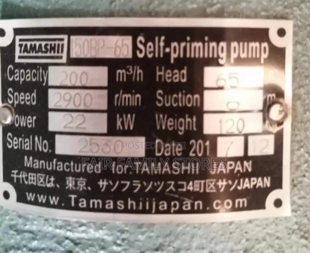 6" Bare Pump - thumbnail 2