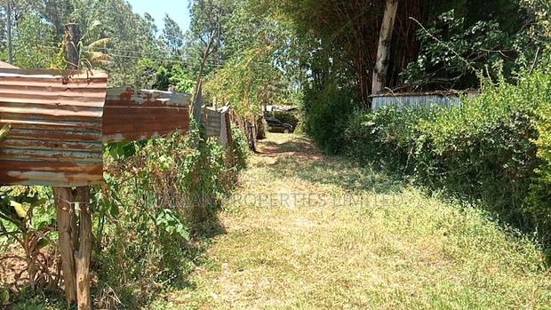 1/8 Acre in Kakamega Irumbi - thumbnail 5