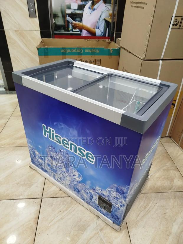 Hisense 297 Liters Fc297sh Dual Chest Freezer - main view