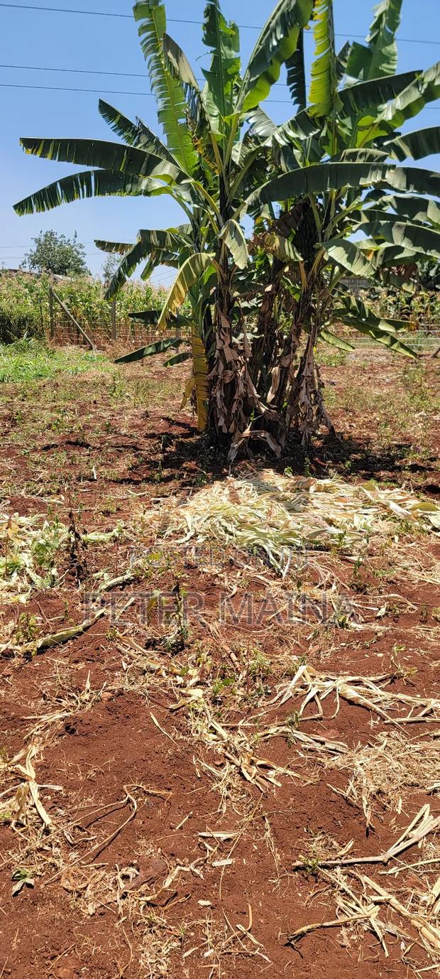 Plot for Sale 50 by 100 With Ready Title Deed in Gachie - thumbnail 2