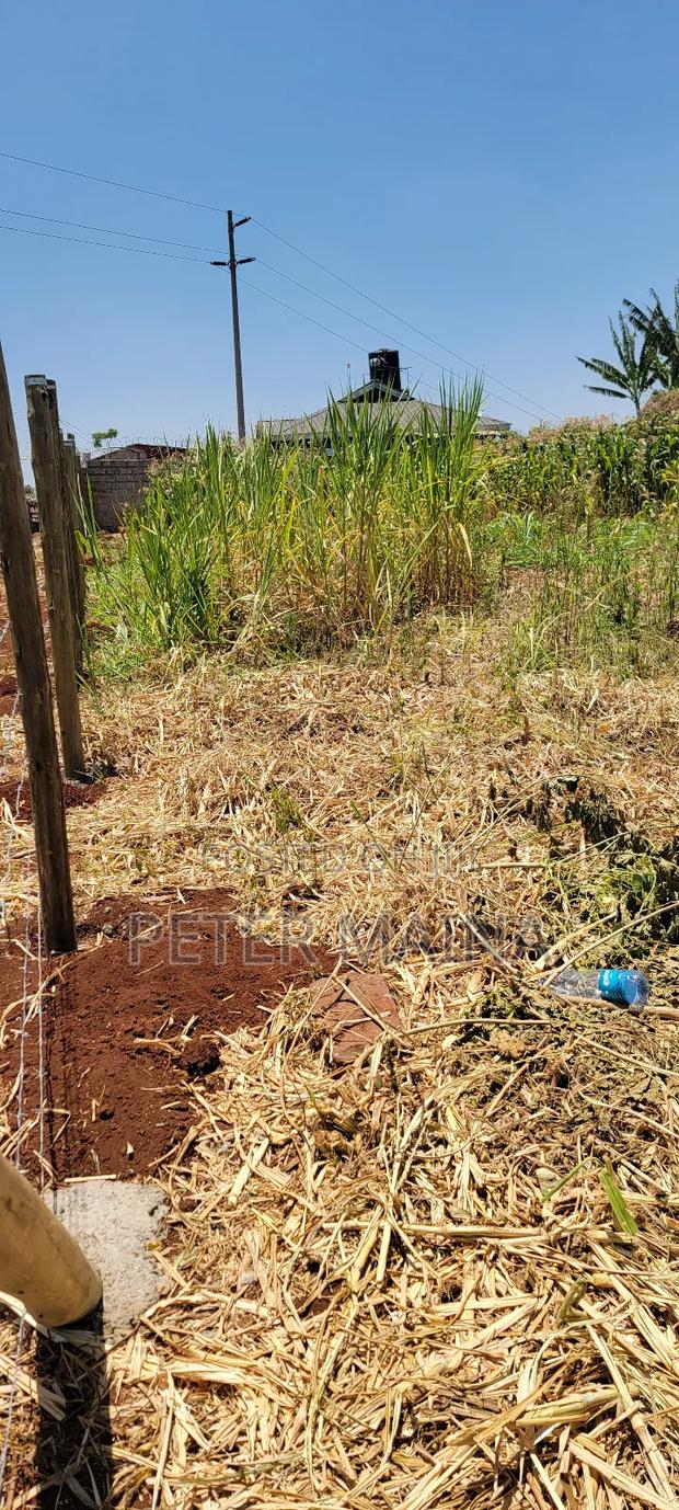 Plot for Sale 50 by 100 With Ready Title Deed in Gachie - thumbnail 3