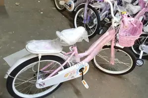 Bike Size 20 Lady Bird