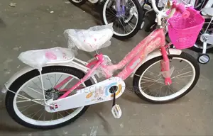 Bike Size 20 Lady Bird