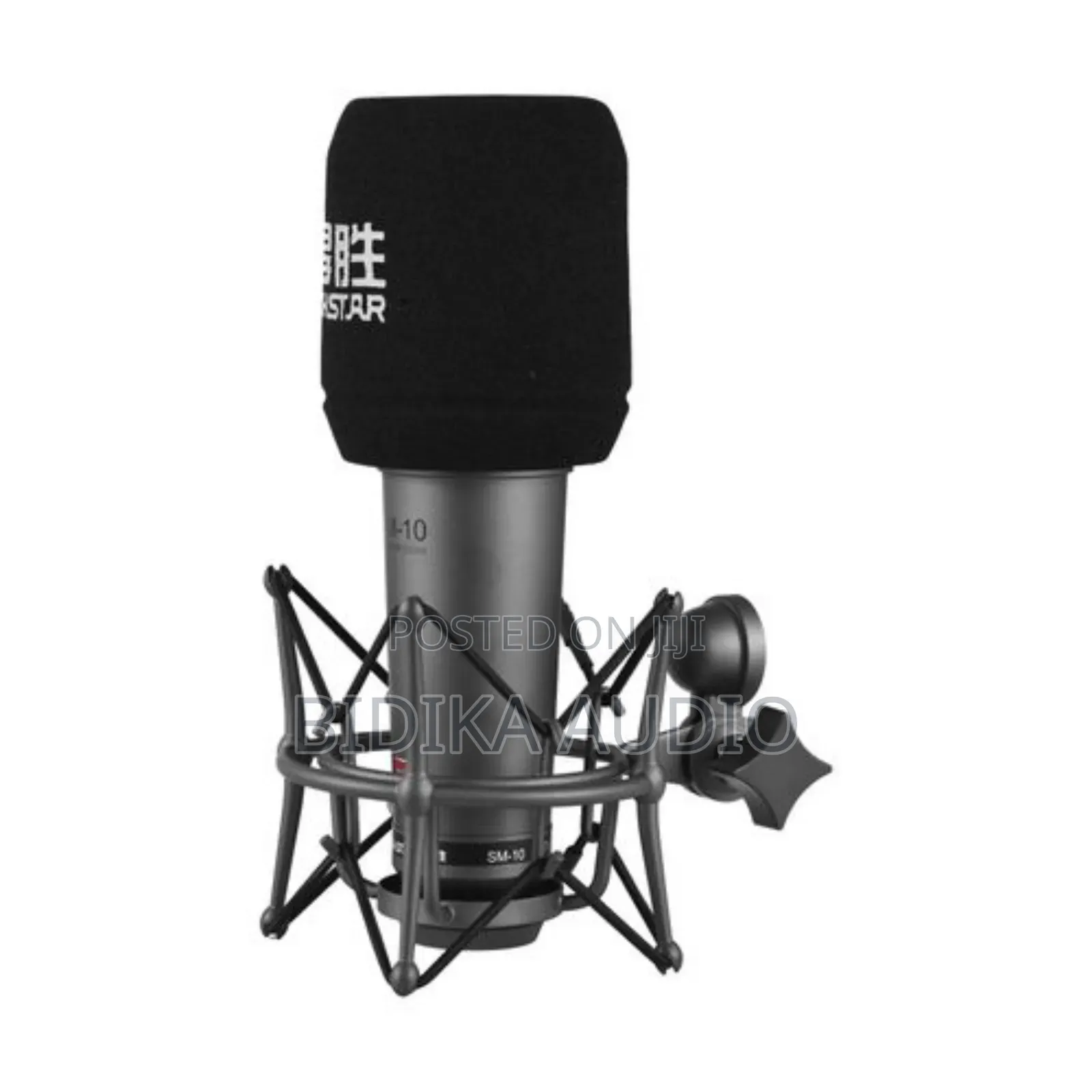 Takstar Sm-10 Unidirectional Recording Microphone Metal