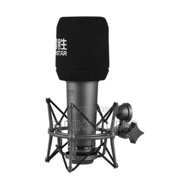 Takstar Sm-10 Unidirectional Recording Microphone Metal