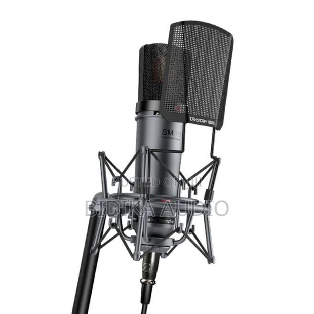 Quality Takstar Sm-10 Condenser Microphone
