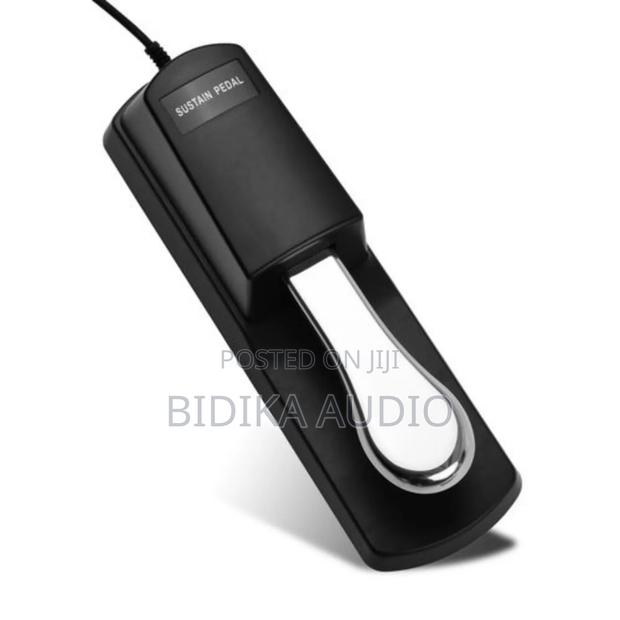 Piano Sustain Pedal Keyboard Damper Pedal 6.35mm Plug - main view