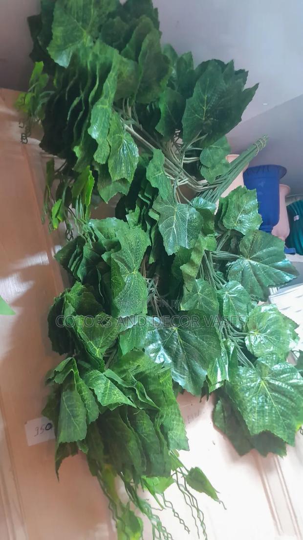 Decor Your Roof Green