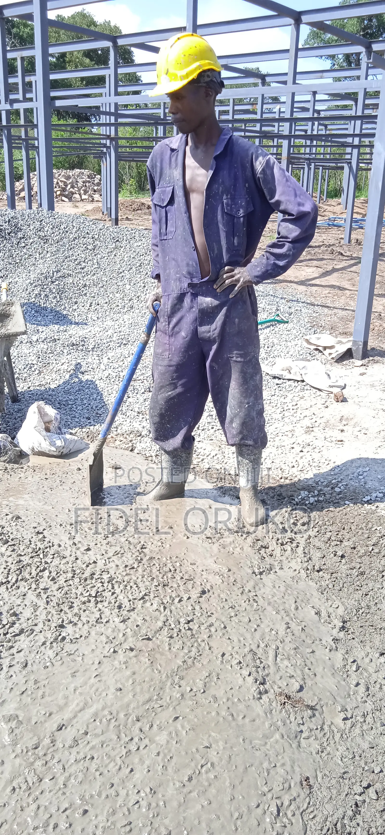Poultry Farm Job