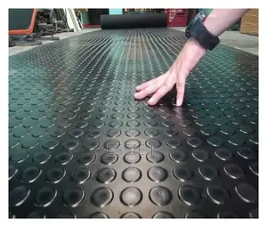 Outdoor -Indoor Rubber Mat Waterproof