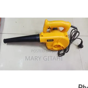 Dera Electric Blower at 